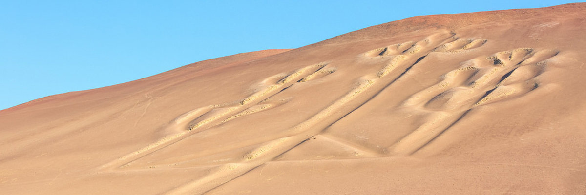 Ica + Ballestas Islands + Paracas from Lima 2 days and 1 night in Lima